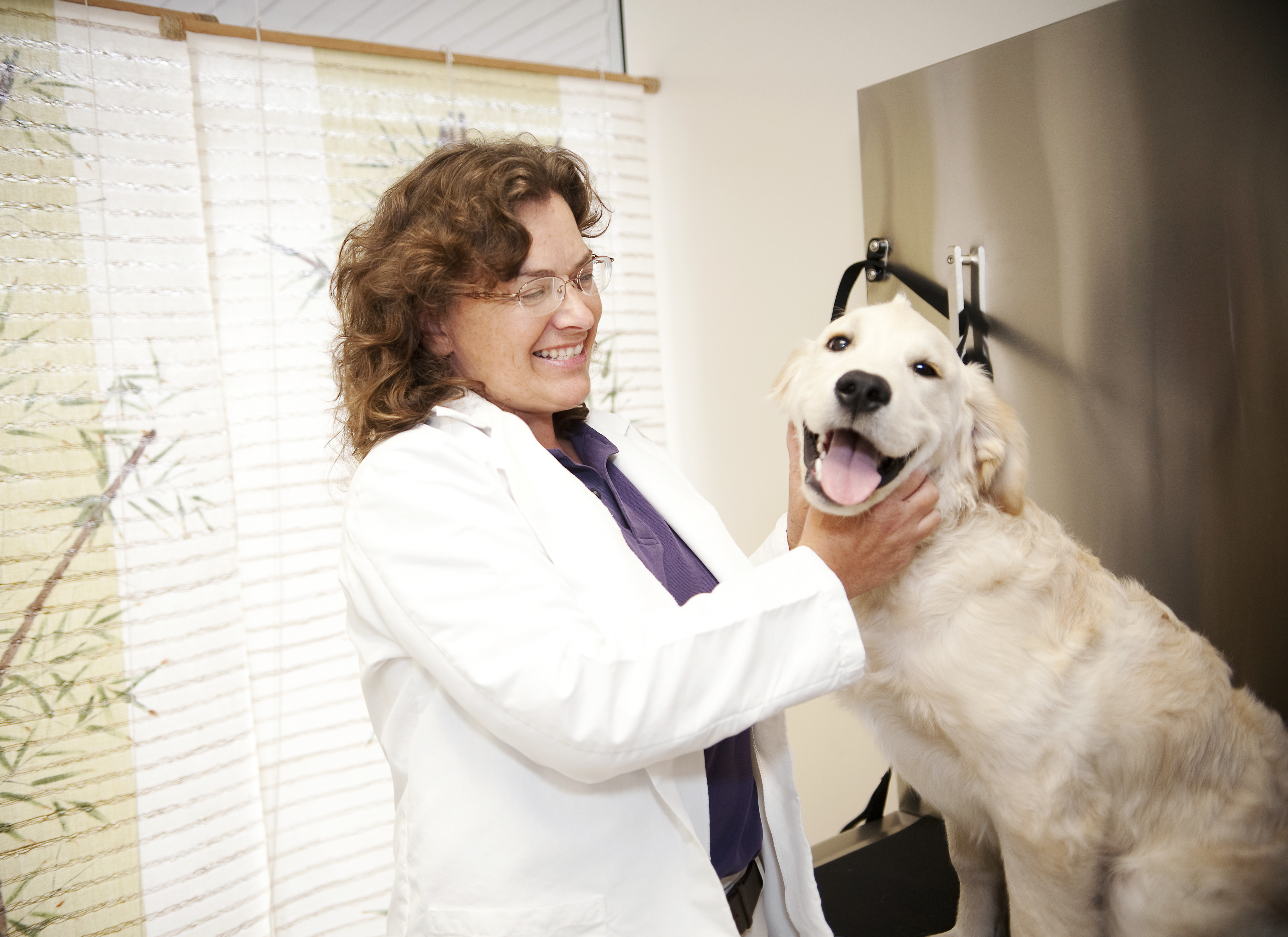 Womens Economic Ventures: a new veterinarian practice with a four-legged patient